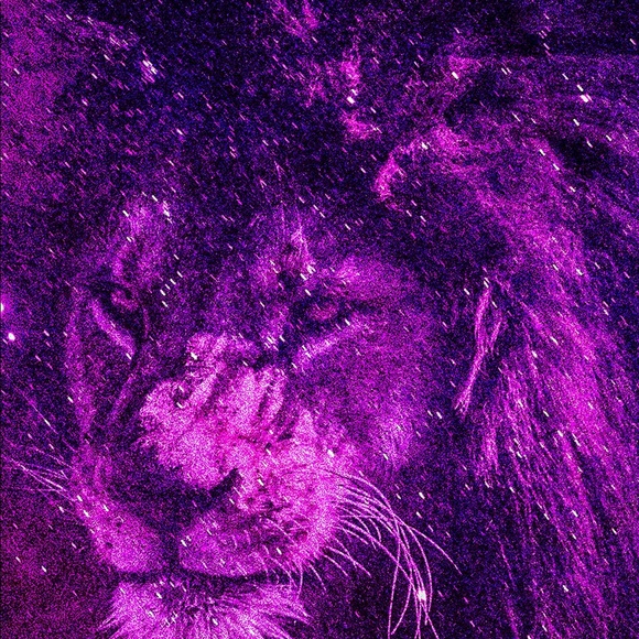 king_serrano